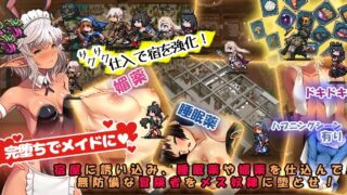 【SLG/生肉】欢迎来到冒险者旅馆2【度盘1G】