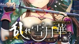 【PC】乱雪月华～虚幻飘散的细雪～【OD】