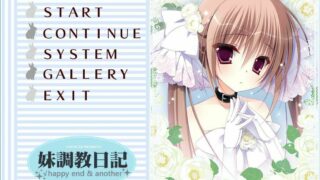 【PC+ONS】妹妹调教日记+FD【度盘】