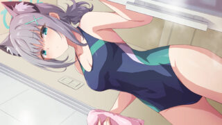 【同人本】蔚蓝档案两本【度盘/23M】