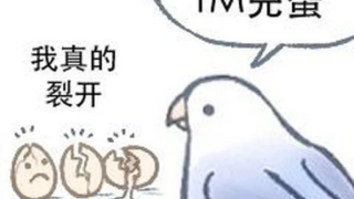 【官方公告】关于最近投稿资源的一些说明，请各位作者查看