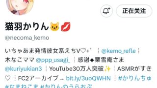 【音声】【猫羽出道到23年12月的直播录像】【度盘/527.81G】
