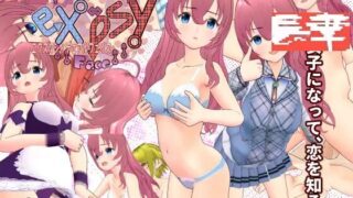 【RPG/生肉】エクスタシィ・デュアルフェイス【度盘】