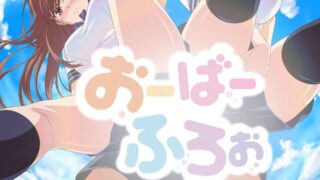 【无修/里番】OverFlow【度盘/2.74G】