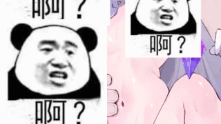 【2D动画】WaterRing 2023年12月【2V+8P】【度盘/300M】