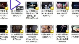 【3D同人】教育失败【度盘/15G】