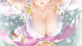 【GAL】美少女万华镜6异闻：雪女【度盘】【7.4g】