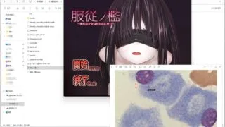 【SLG】服从的檻~纯洁少女堕落为O玩具 汉化版【度盘/200M】