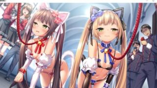 【ADV】圣奴隶学园2 +全CG存档【度盘/5G】