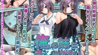 【AVG】别碰我的妹妹!  AI汉化【度盘】