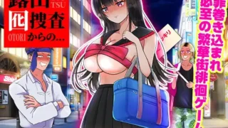 【RPG】从暴露诱饵搜查开始… 露出囮捜査からの【度盘/433M】