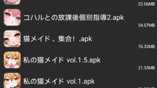 【安卓】狐狐部屋 11 个【度盘/571M】