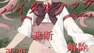【SLG】【步兵】バイタルハック【RJ01265790】【度盘】