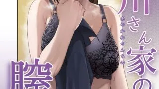 【本子】 綾川さん家の膣序【度盘/75.87M】