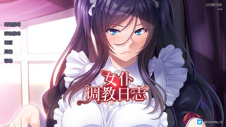 【KRKR/安卓/官中】女仆调教日志 1.2.4【度盘/626m】