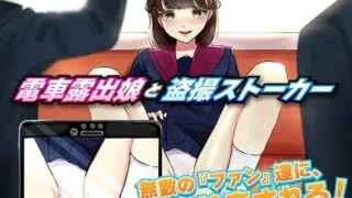 【RPG】 電車露出娘【電車露出娘と盗撮ストーカー】V1.0 机翻汉化 【度盘/1G】