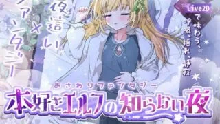 【SLG/动态】触摸幻想 喜欢书的精灵的未知之夜【度盘/52.1M】