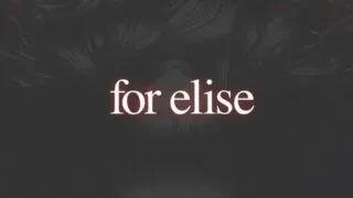 【ADV】for elise【度盘】