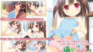 【ADV/PC＋KR】诱骗少女回家的方法【度盘】