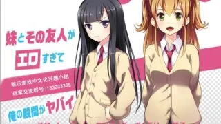 【ADV/PC/安卓】妹妹与我人与我的日常模拟精翻汉化版【度盘/490M】