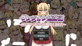 【RPG/AI汉化】 地下城堕落记 ダンジョン堕落記 【度盘/429M】