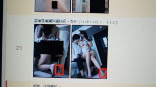 【软件推荐】纸飞机上某位大佬做的AI模型实时马赛克工具【度盘】
