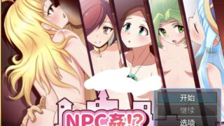 【RPG/AI汉化】 NPC奸!?~与异世界少女的无抵抗H！ NPC姦!_～異世界少女と無抵抗エッチ!～ 【度盘/368M】