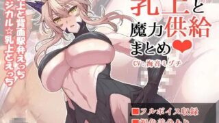 【2D/生肉/有码】[自购]乳上と魔力供給まとめ【Pikpak/658.73MB】