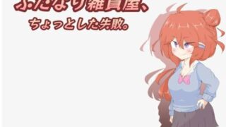 【RPG/PC/安卓】双杏人杂货店1.0汉化版【度盘/1.35G】