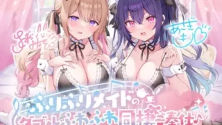 【ASMR】【RJ01166687】【转载】【简体中文版】【KU100】轻飘飘同居女仆的软绵绵双重侍奉♪为你提供甜蜜侍奉喵♪【度盘/234M】