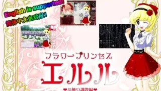【SLG/官中】芙拉瓦公主 艾露露 痴汉车辆篇 v3.03【RJ01328953】