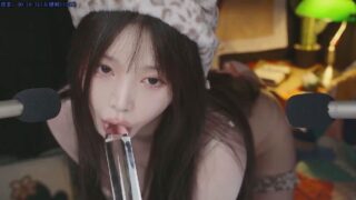 【ASMR】yoonying 动物度假村【度盘】