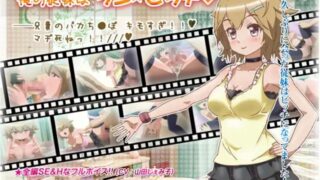 【Flash/动画】【I】 俺の従妹はツン☆ビッチ【度盘/30.6M】