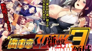 【SLG】【官中/动态/更新DLC/存档】 满车率300%3【満車率300% 3≒】V20250802 鉄板ギャル御乗車ぱっち 【度盘/15G】
