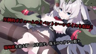 【TPS】【异种X】 塞尔贝莉亚的奋战 セルベリアの奮戦 机翻汉化 【度盘/400M】