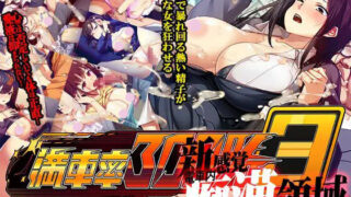 【SLG】【精品】【超多内容】3D满车率300%3≒_満車率300%_3≒_DL官方中文【简+繁】【度盘】