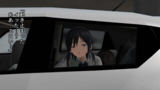 【3D】蜜姫 - 学校終わりの娘【度盘/479MB】