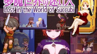 【ACT】夢魔世界の迷い人【度盘/夸克/1G】