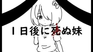 【RPG/PC/安卓】拯救1天后会死的妹妹（AI翻译）【度盘】