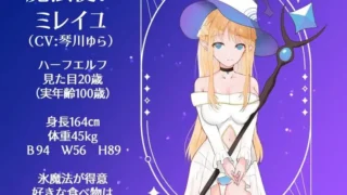 【RPG】决战前夜勇者的内心暗示【決戦前夜に仲間を暗示する勇者】V1.0 AI汉化版【度盘/500M】