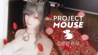【RPG】上古卷轴5重置版 团娜娜Ver8.20 完整全内容整合版 超全美化/最新实验室/细腻风格【度盘/218G】