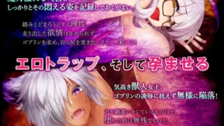 【SLG】哥布林的瑟瑟陷阱地下城～超值版～V1.2.10 DL官中+DLC1+DLC2【度盘/3.1G】