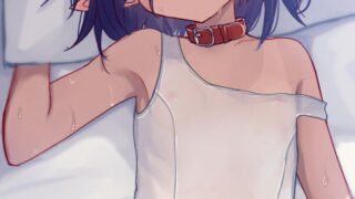 【同人图集】瀬世ナギ更新至2024-12-26【度盘1.7】