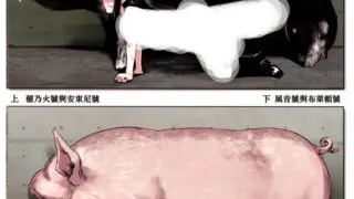 【本子】[774ハウス (774)]合集【度盘/440M】