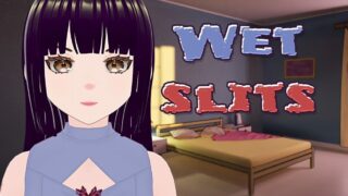 【3D】湿润的缝隙 wet slits Ver1.1 官方中文步兵版【度盘/700M】