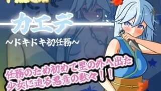 【RPG汉化】半熟忍者枫 ～心跳加速的初任务～【度盘1.3G】