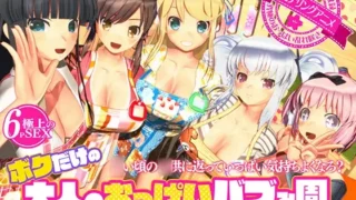 【3D】【ぽこもぷれみあむ】闪乱神乐 ボクだけの大人のおっぱいバブみ園【RJ01398997】【8.6G/UC】