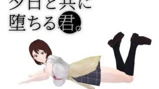 【3D】与夕阳一同坠落的你  原名夕日と共に堕ちる君【度盘/1.2G】