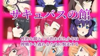 【RPGai汉化】魅魔之馆 被当作性诱饵拐走的少年为逃离榨精而逃走 原名（サキュバスの館 性的な餌として拐われた少年は搾精から逃れるために脱走する【670MB】