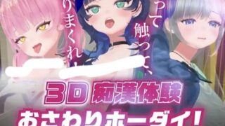 【SLG/生肉】 3D痴汉体验 无限触摸！～摸摸摸，摸到爽 3D痴◯体験 おさわりホーダイ！〜 触って触って、触りまくれ！〜 【度盘/664M】